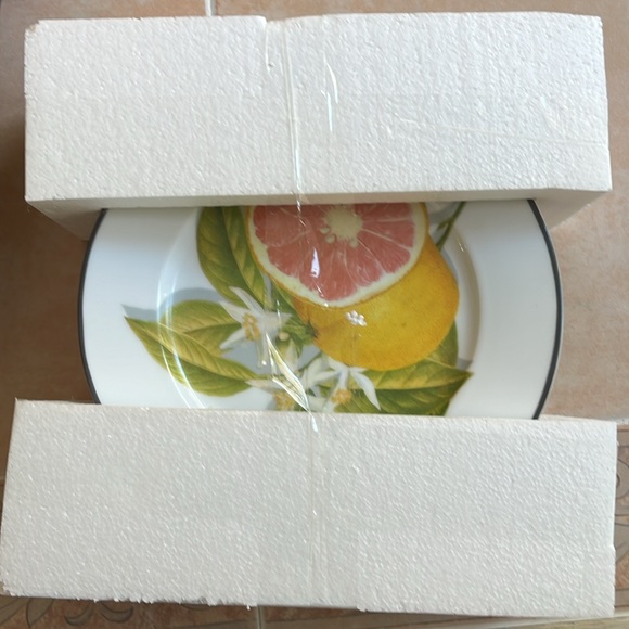 4-WILLIAMS SONOMA Citrus FRUIT BEES Salad Plates LEMONS LIME GRAPFRUIT ORANGE 9" - Picture 5 of 11